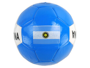 Футбольный мяч, размер 5, 24 см цена и информация | Футбольные мячи | 220.lv