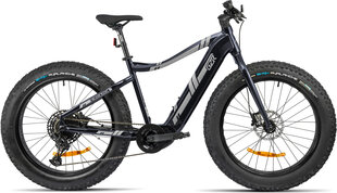 Электровелосипед GZR Black Raw 2023 26" Electric Fatbike 17", черный цвет цена и информация | Электровелосипеды | 220.lv