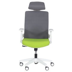Комплект из 2 офисных кресел Wood Garden Carmen 7546, зеленый/серый цвет цена и информация | Офисные кресла | 220.lv