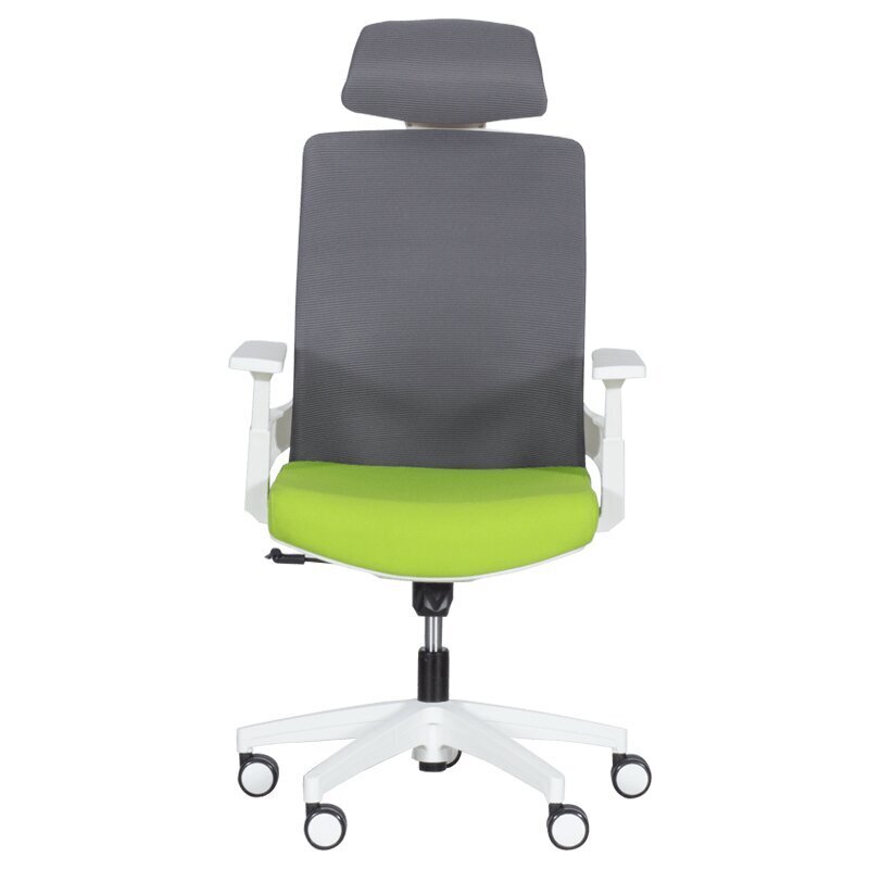 2-u biroja krēslu komplekts Wood Garden Carmen 7546, zaļš/pelēks цена и информация | Biroja krēsli | 220.lv