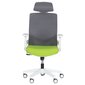 2-u biroja krēslu komplekts Wood Garden Carmen 7546, zaļš/pelēks cena un informācija | Biroja krēsli | 220.lv