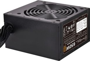 SilverStone ET650-B цена и информация | Блоки питания (PSU) | 220.lv