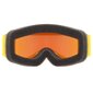 Slēpošanas brilles Uvex Speedy Pro, dzeltenas цена и информация | Slēpošanas brilles | 220.lv