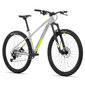 Kalnu velosipēds Rock Machine 29 Torrent, pelēks cena un informācija | Velosipēdi | 220.lv