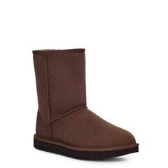 UGG zābaki sievietēm 370213, brūni цена и информация | Женские сапоги | 220.lv