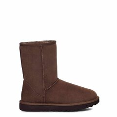 UGG zābaki sievietēm 370213, brūni цена и информация | Женские сапоги | 220.lv