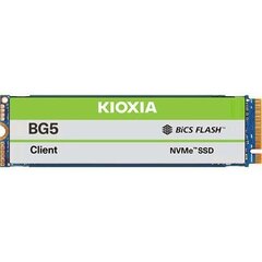 Kioxia BG5 KBG50ZNV512G цена и информация | Внутренние жёсткие диски (HDD, SSD, Hybrid) | 220.lv