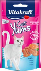 Vitakraft Cat Yums Ser kaķiem ar lasi, 40g cena un informācija | Gardumi kaķiem | 220.lv