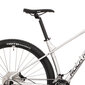 Kalnu velosipēds Rock Machine, 29 Torrent, sudrabs cena un informācija | Velosipēdi | 220.lv