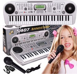 Izglītojošas klavieres bērniem ar mikrofonu, MQ5407 cena un informācija | Attīstošās rotaļlietas | 220.lv