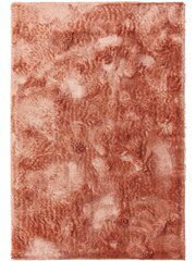Benuta paklājs Francis 300x400 cm cena un informācija | Paklāji | 220.lv