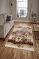 Asir paklājs 80x120 cm цена и информация | Paklāji | 220.lv