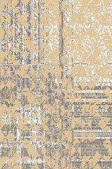 Asir paklājs 100x200 cm cena un informācija | Paklāji | 220.lv