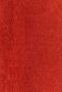 Asir paklājs 80x300 cm цена и информация | Paklāji | 220.lv