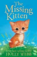 Missing Kitten cena un informācija | Grāmatas pusaudžiem un jauniešiem | 220.lv