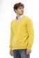 Džemperis vīriešiem Sergio Tacchini 20F21, dzeltens cena un informācija | Vīriešu džemperi | 220.lv