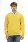 Džemperis vīriešiem Sergio Tacchini 20F21, dzeltens cena un informācija | Vīriešu džemperi | 220.lv