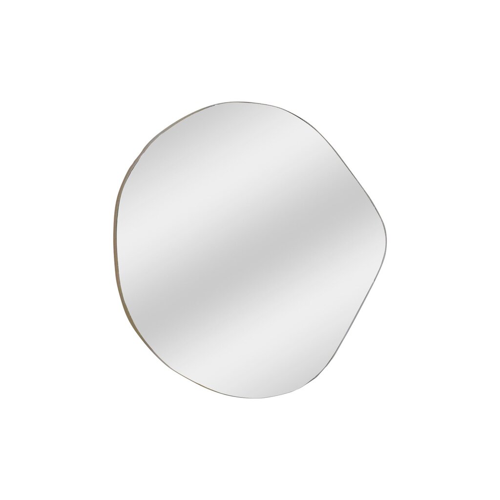 Spogulis Asir, 70x67x0,18cm, sudraba krāsā cena un informācija | Vannas istabas spoguļi | 220.lv