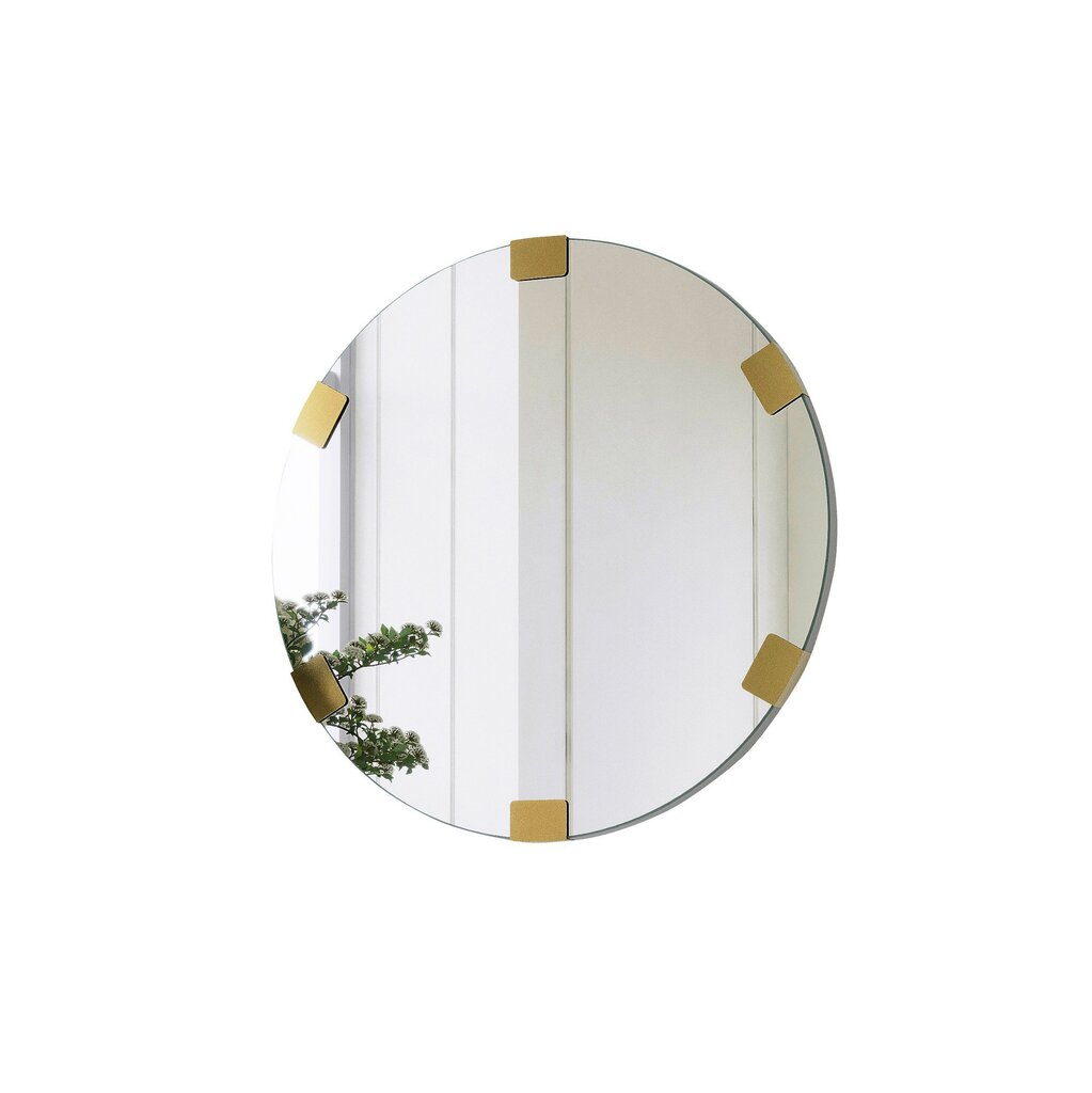 Spogulis Asir, 60x0,18cm, sudraba krāsā cena un informācija | Vannas istabas spoguļi | 220.lv