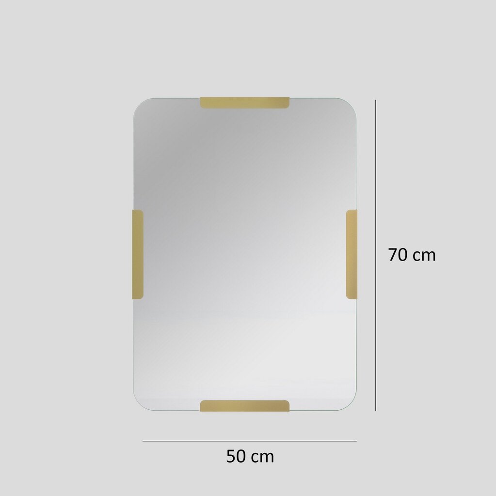Spogulis Asir, 50x70cm, zelta krāsā cena un informācija | Vannas istabas spoguļi | 220.lv