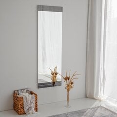 Spogulis Asir, 40x120x2,2cm, balts cena un informācija | Vannas istabas spoguļi | 220.lv