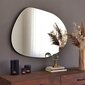 Spogulis Asir, 50x75x0,18cm, sudraba krāsā cena un informācija | Vannas istabas spoguļi | 220.lv