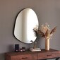 Spogulis Asir, 50x75x0,18cm, sudraba krāsā cena un informācija | Vannas istabas spoguļi | 220.lv