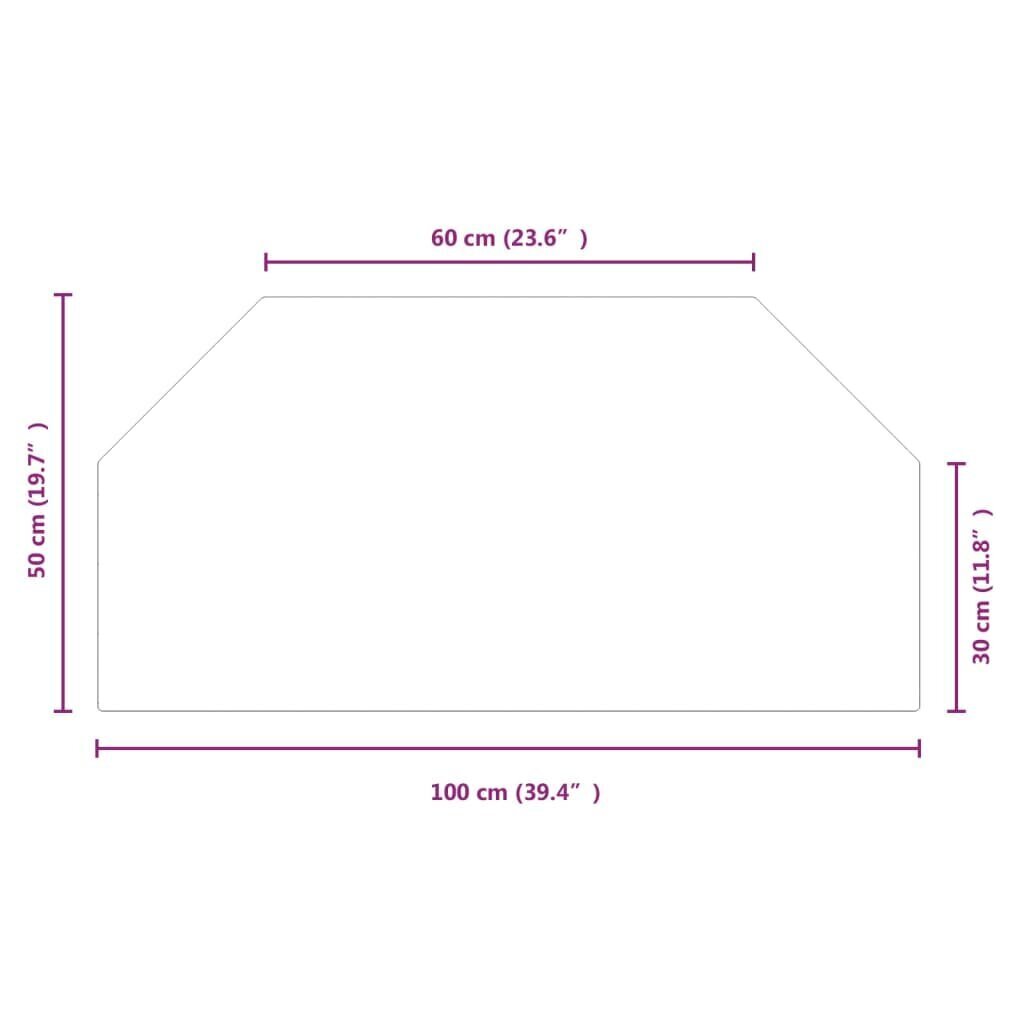 Kamīna plāksne, sešstūra forma, stikls, 100x50 cm цена и информация | Kamīni | 220.lv