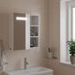 Vannasistabas spoguļskapītis ar LED, balts, 45x13x52 cm cena un informācija | Vannas istabas skapīši | 220.lv