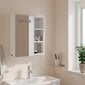 Vannasistabas spoguļskapītis ar LED, balts, 45x13x52 cm cena un informācija | Vannas istabas skapīši | 220.lv