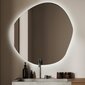 Spogulis LED Tulup, 48x48 cm, sudraba cena un informācija | Spoguļi | 220.lv