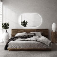 Spogulis LED Tulup, 58x100 cm, sudraba cena un informācija | Spoguļi | 220.lv