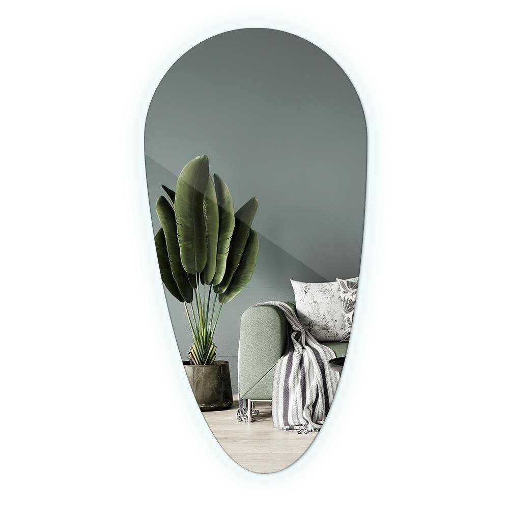 Spogulis LED Tulup, 58x100 cm, sudraba cena un informācija | Spoguļi | 220.lv