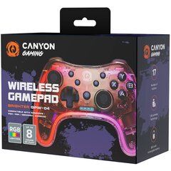 Canyon Brighter GPW-04 цена и информация | Игровые приставки | 220.lv