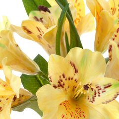 Mākslīgais zieds Rododendrs cena un informācija | Mākslīgie ziedi | 220.lv