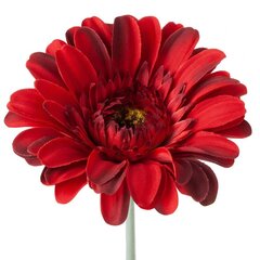 Искусственный цветок Гербера цена и информация | Искусственный букет DKD Home Decor, 2 шт | 220.lv