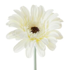 Mākslīgais zieds Gerbera cena un informācija | Mākslīgie ziedi | 220.lv