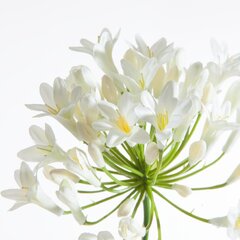 Искусственный цветок Агапантус цена и информация | Искусственный букет DKD Home Decor, 2 шт | 220.lv