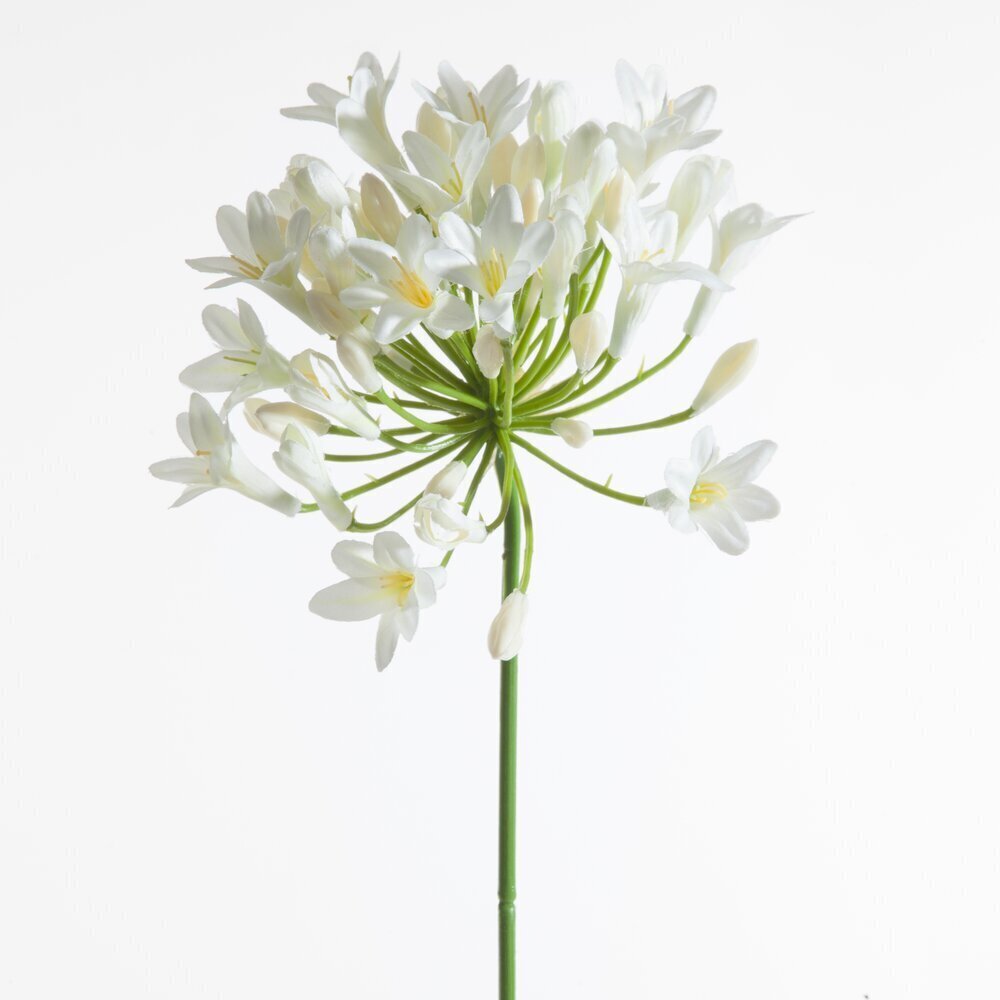 Mākslīgais zieds Agapants cena un informācija | Mākslīgie ziedi | 220.lv