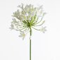 Mākslīgais zieds Agapants cena un informācija | Mākslīgie ziedi | 220.lv