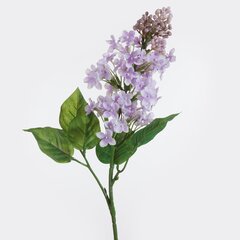 Искусственное растение Олива цена и информация | цветочные соцветия 1 шт | 220.lv