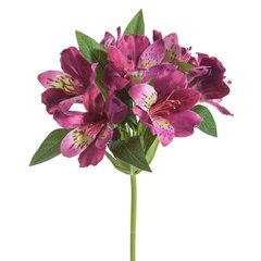Искусственный цветок Рододендрон цена и информация | Искусственный букет DKD Home Decor, 2 шт | 220.lv
