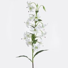 Mākslīgais zieds Gaiļpiesis cena un informācija | Mākslīgie ziedi | 220.lv