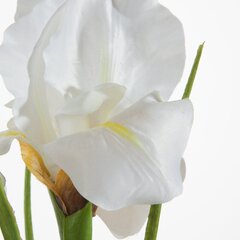 Искусственное растение Ирис цена и информация | цветочные соцветия 1 шт | 220.lv