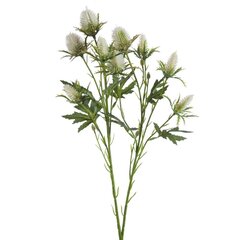 Mākslīgais zieds Ērkšķis cena un informācija | Mākslīgie ziedi | 220.lv