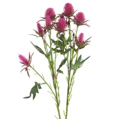 Искусственный цветок Шиповник цена и информация | Искусственный букет DKD Home Decor, 2 шт | 220.lv