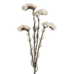Искусственное растение Кермек цена и информация | цветочные соцветия 1 шт | 220.lv