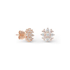 Серебряные серьги с кубическим цирконием Silver Selection для женщин W62773165 1000000077946 цена и информация | Серьги | 220.lv