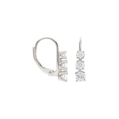 Серебряные серьги с кубическим цирконием Silver Selection для женщин W55021527 1000000034602 цена и информация | Серьги | 220.lv