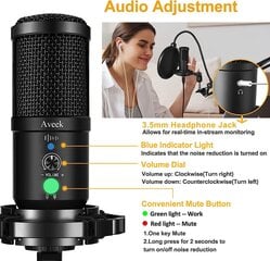 AVEEK Professional USB -конденсатор комплект 192 кГц / 24bit PC Microphone с микрофонной подставкой для микрофона для записей, радио, игр, потоковой передачи цена и информация | Микрофоны | 220.lv